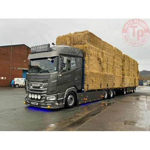DAF XF trasporto paglia P&L Forman TEKNO 89057 TEKNO