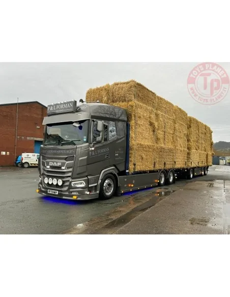DAF XF trasporto paglia P&L Forman TEKNO 89057 TEKNO DAF XF trasporto paglia P&L Forman TEKNO 89057 TEKNO