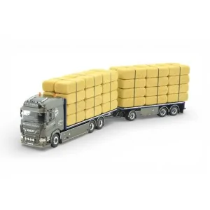 DAF XF trasporto paglia P&L Forman TEKNO 89057 TEKNO