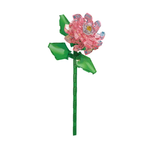 Rosa selvatica rosa 85pz CUB26 CUBIX