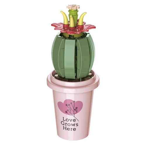 Vasetto con cactus 55pz CUB44 CUBIX