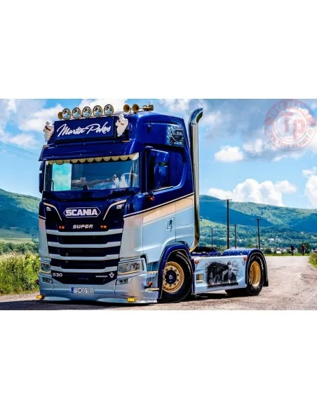 SCANIA S HIGHLINE CS20H 4X2 Pakos WSI 01-4787 WSI MODELS