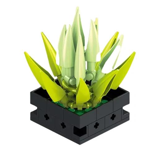 Pianta Grassa 77pz CUB164 CUBIX
