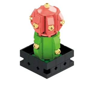 Pianta Grassa 111pz CUB165 CUBIX