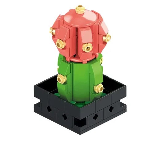 Pianta Grassa 111pz CUB165 CUBIX