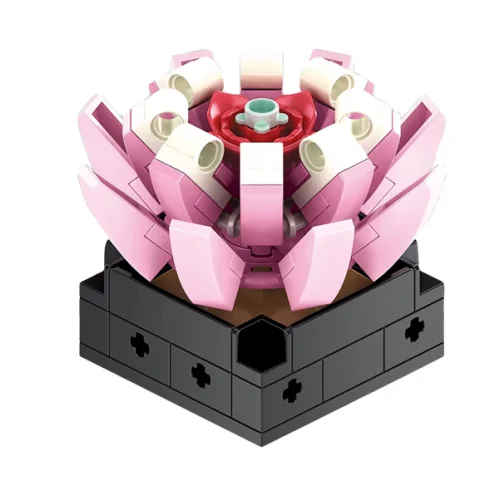 Pianta grassa 90pz CUB167 CUBIX