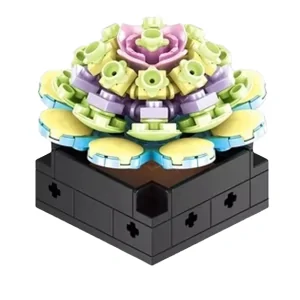 Pianta grassa 115pz CUB168 CUBIX