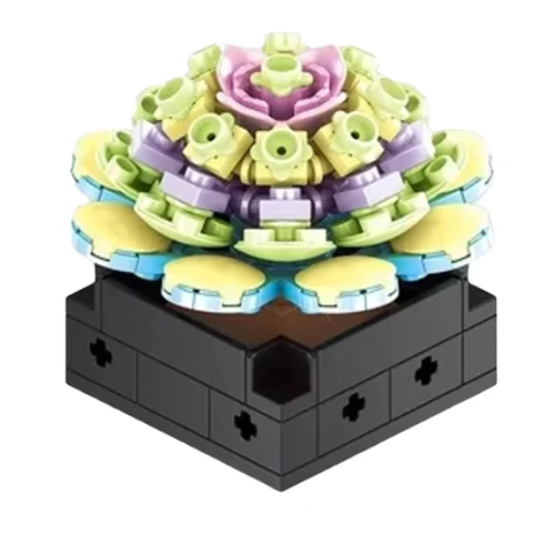 Pianta grassa 115pz CUB168 CUBIX