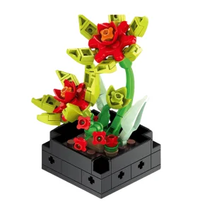 Pianta grassa 90pz CUB169 CUBIX