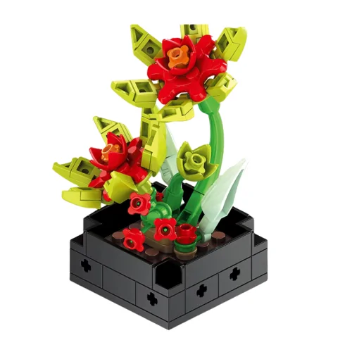 Pianta grassa 90pz CUB169 CUBIX