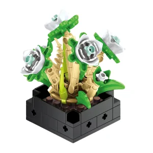 Pianta grassa 77pz CUB171 CUBIX