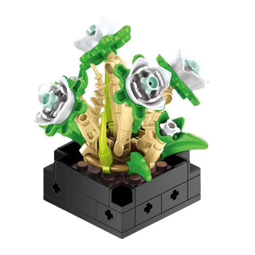 Pianta grassa 77pz CUB171 CUBIX