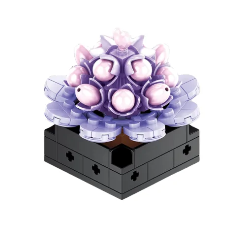 Pianta grassa 103pz CUB172 CUBIX