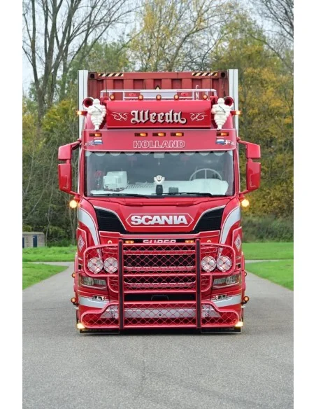 1/50 Weeda - Gangsters Paradise Scania NGR Normal roof 6x2 met 3-assige container chassis met 40ft container TEKNO 91080 TEKNO