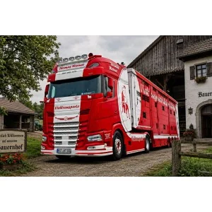 1/50 Thomas Werner DAF XG+ 4X2 LIVE STOCK TRAILER - 3 AXLE WSI 01-5521 WSI MODELS