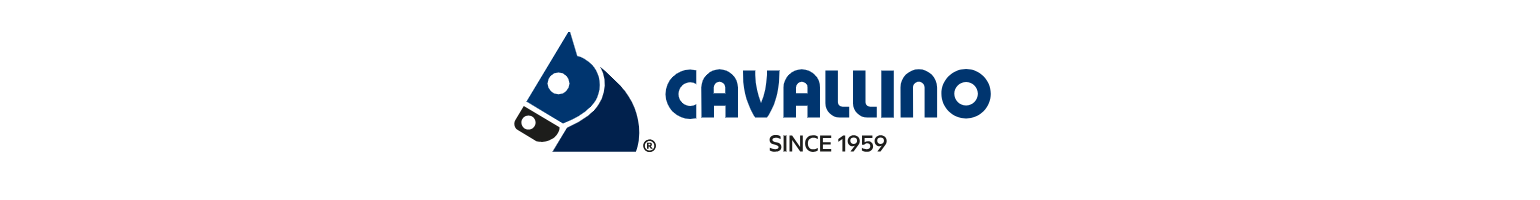 CAVALLINO TOYS Modellini di camion in scala 1:50