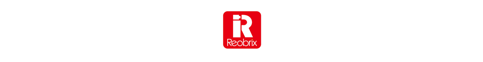 Reobrix Mattoncini Da Costruire
