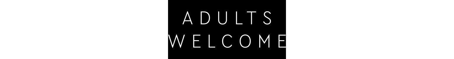 LEGO Adults Welcome